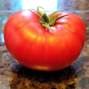 Meet your Posher, Tomatotime